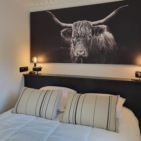 펜션 O2lienne, De Charme